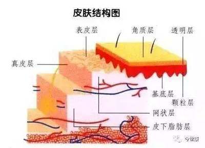 揭開(kāi)角質(zhì)的神秘面紗 去角質(zhì)會(huì)讓皮膚變薄嗎？
